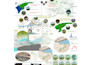 do professional site analysis and concept diagrams